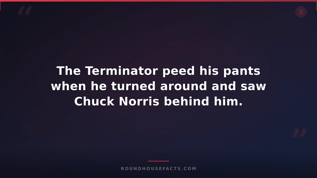 Chuck Norris Fact — The Terminator peed his pants when he turned around and saw