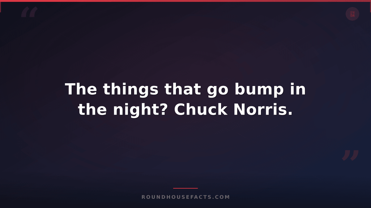 Chuck Norris Fact — The things that go bump in the night? Chuck Norris.