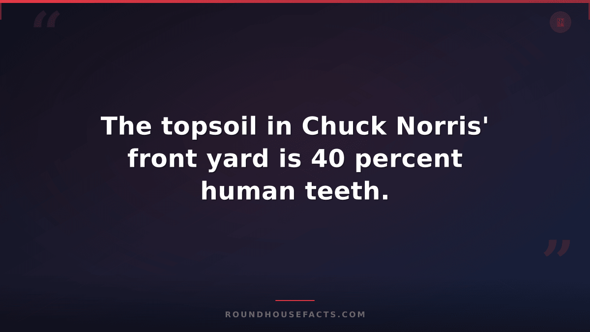 Chuck Norris Fact — The topsoil in Chuck Norris' front yard is 40 percent human