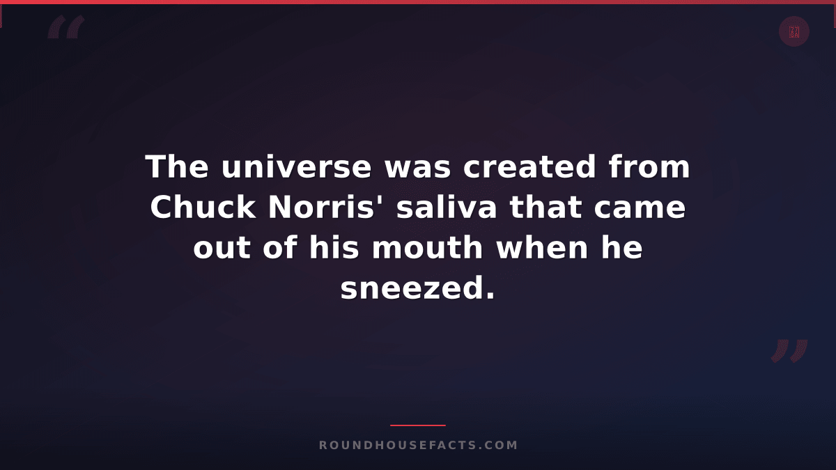 Chuck Norris Fact — The universe was created from Chuck Norris' saliva that came