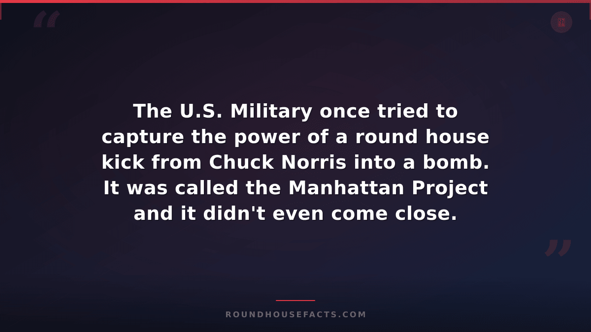 Chuck Norris Fact — The U.S. Military once tried to capture the power of a round