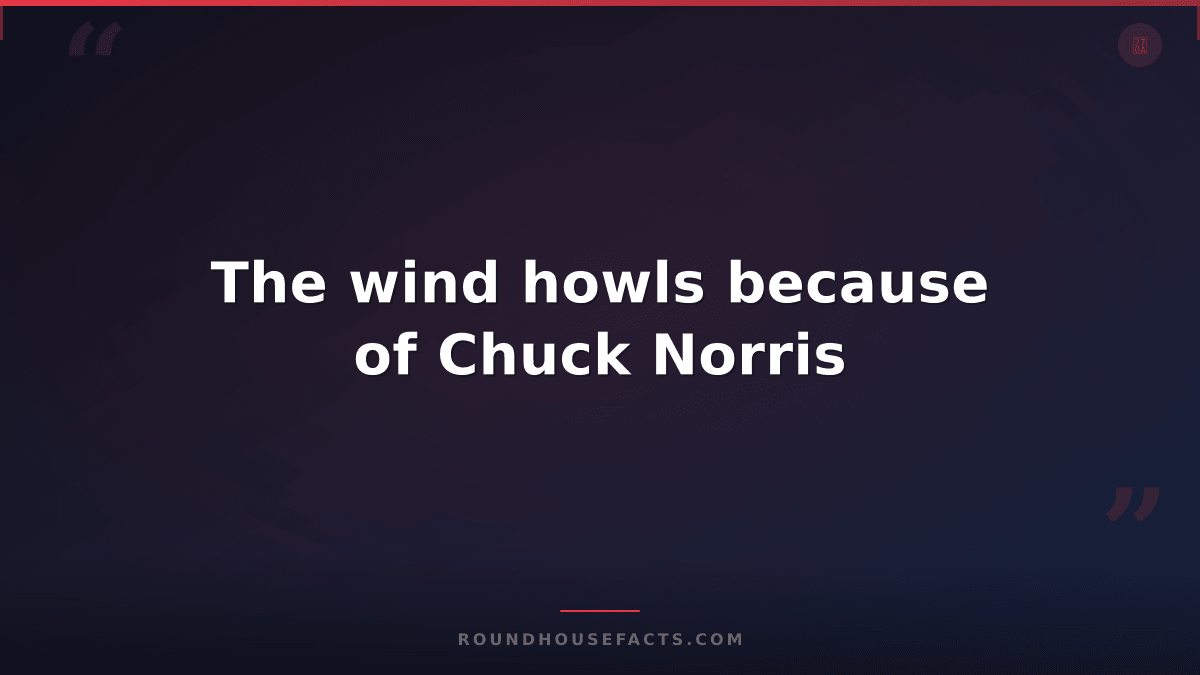 Chuck Norris Fact — The wind howls because of Chuck Norris
