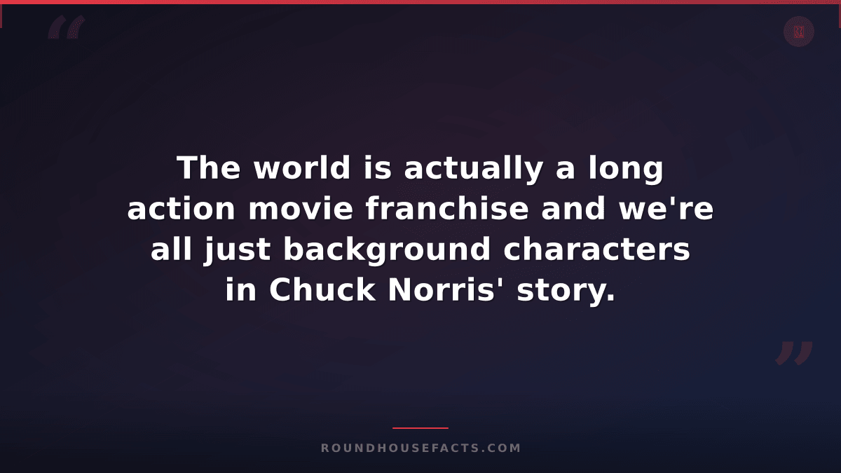 Chuck Norris Fact — The world is actually a long action movie franchise and we'r