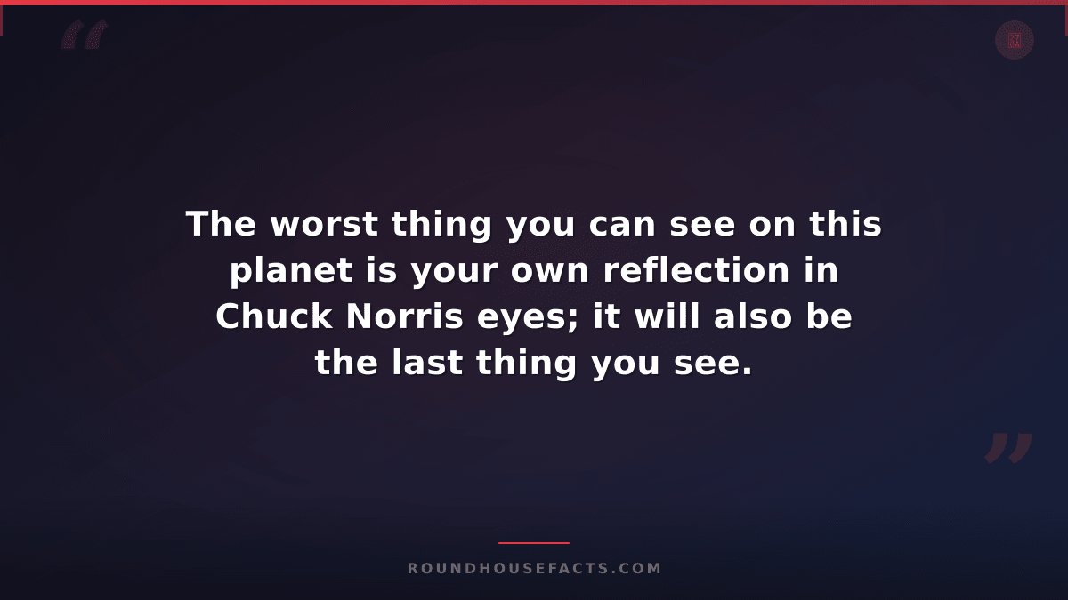 Chuck Norris Fact — The worst thing you can see on this planet is your own refle