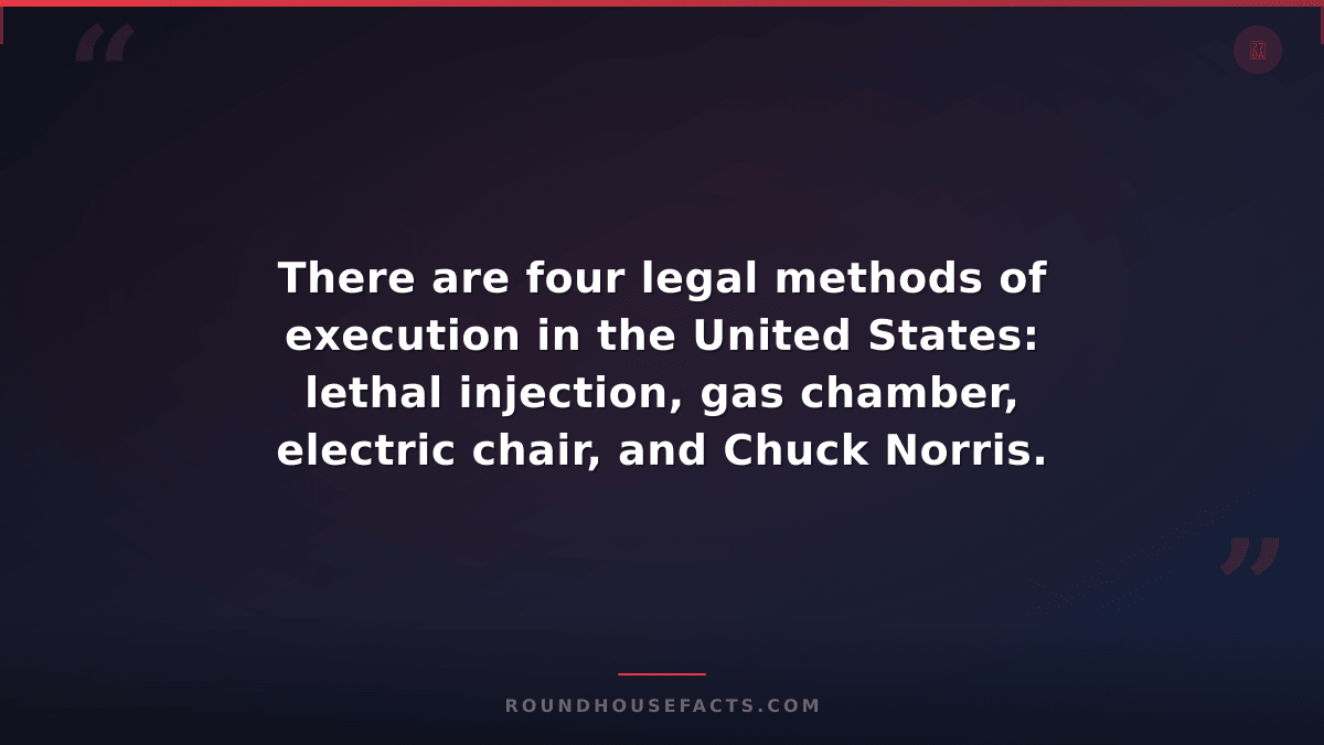Chuck Norris Fact — There are four legal methods of execution in the United Stat