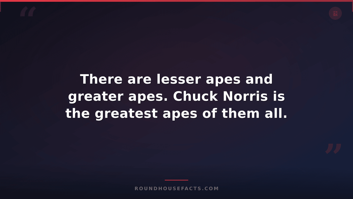 Chuck Norris Fact — There are lesser apes and greater apes. Chuck Norris is the