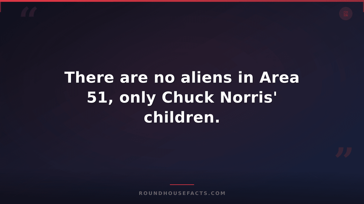 Chuck Norris Fact — There are no aliens in Area 51, only Chuck Norris' children.