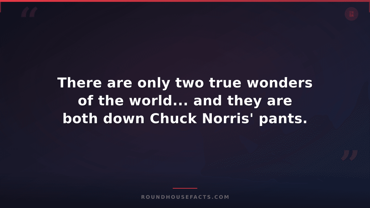 Chuck Norris Fact — There are only two true wonders of the world... and they are