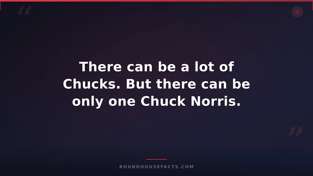 Chuck Norris Fact — There can be a lot of Chucks. But there can be only one Chuc