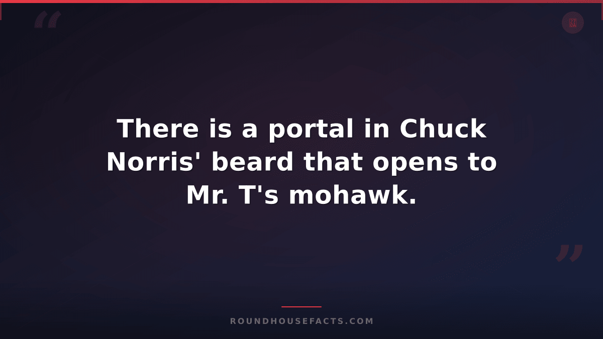 Chuck Norris Fact — There is a portal in Chuck Norris' beard that opens to Mr. T