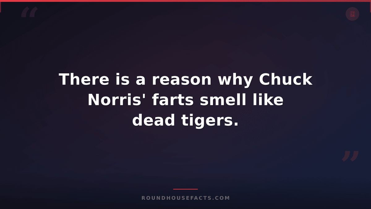 Chuck Norris Fact — There is a reason why Chuck Norris' farts smell like dead ti