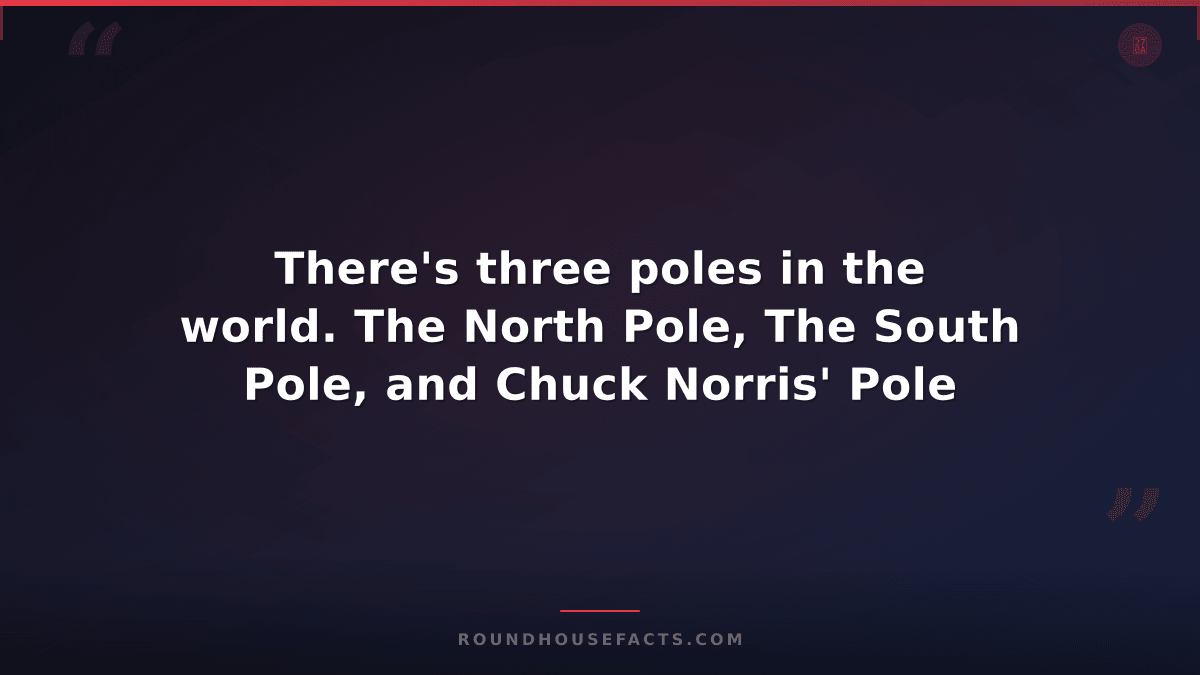 Chuck Norris Fact — There's three poles in the world. The North Pole, The South