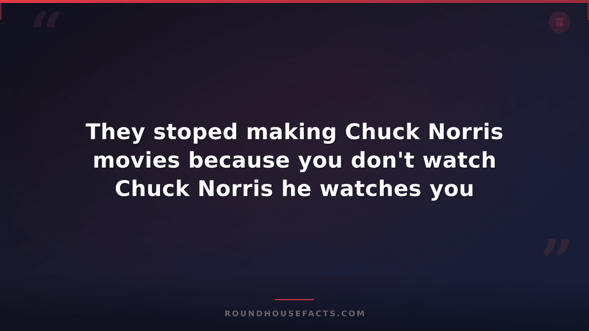 Chuck Norris Fact — They stoped making Chuck Norris movies because you don't wat