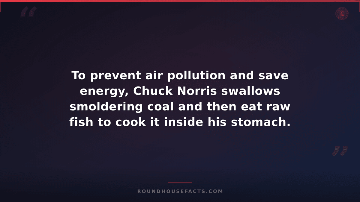 Chuck Norris Fact — To prevent air pollution and save energy, Chuck Norris swall