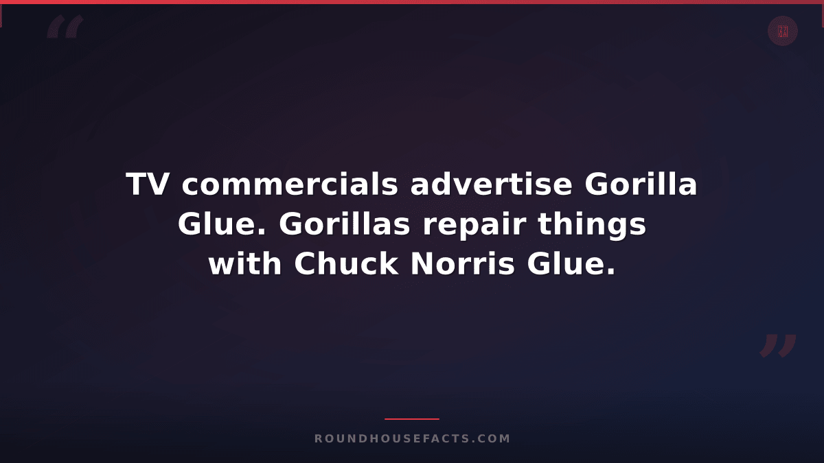 Chuck Norris Fact — TV commercials advertise Gorilla Glue. Gorillas repair thing