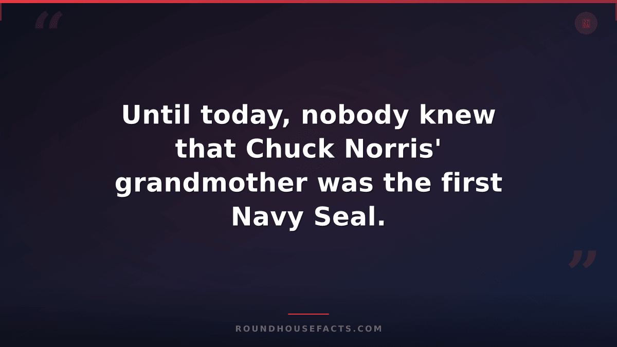 Chuck Norris Fact — Until today, nobody knew that Chuck Norris' grandmother was