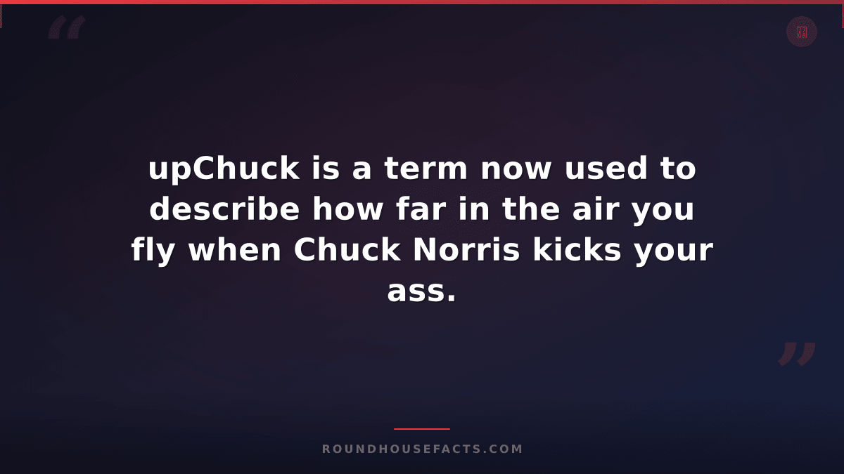 Chuck Norris Fact — upChuck is a term now used to describe how far in the air yo