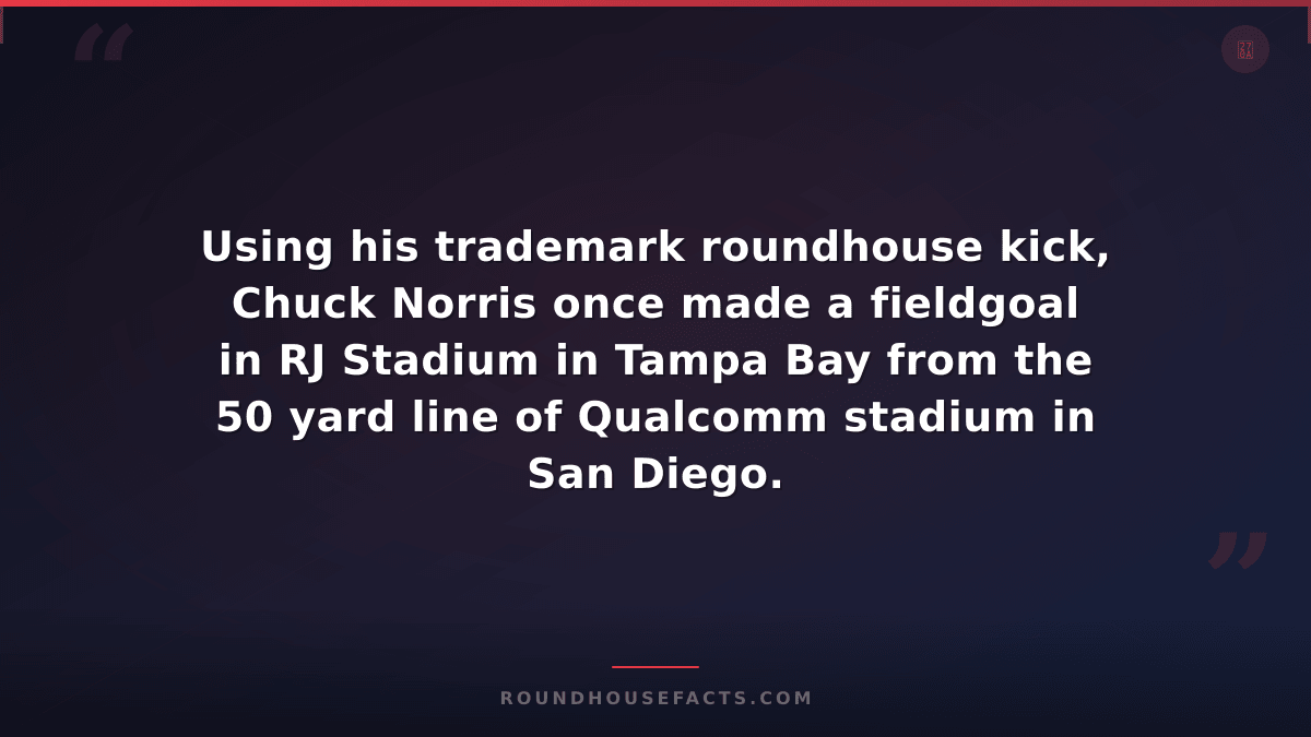 Chuck Norris Fact — Using his trademark roundhouse kick, Chuck Norris once made