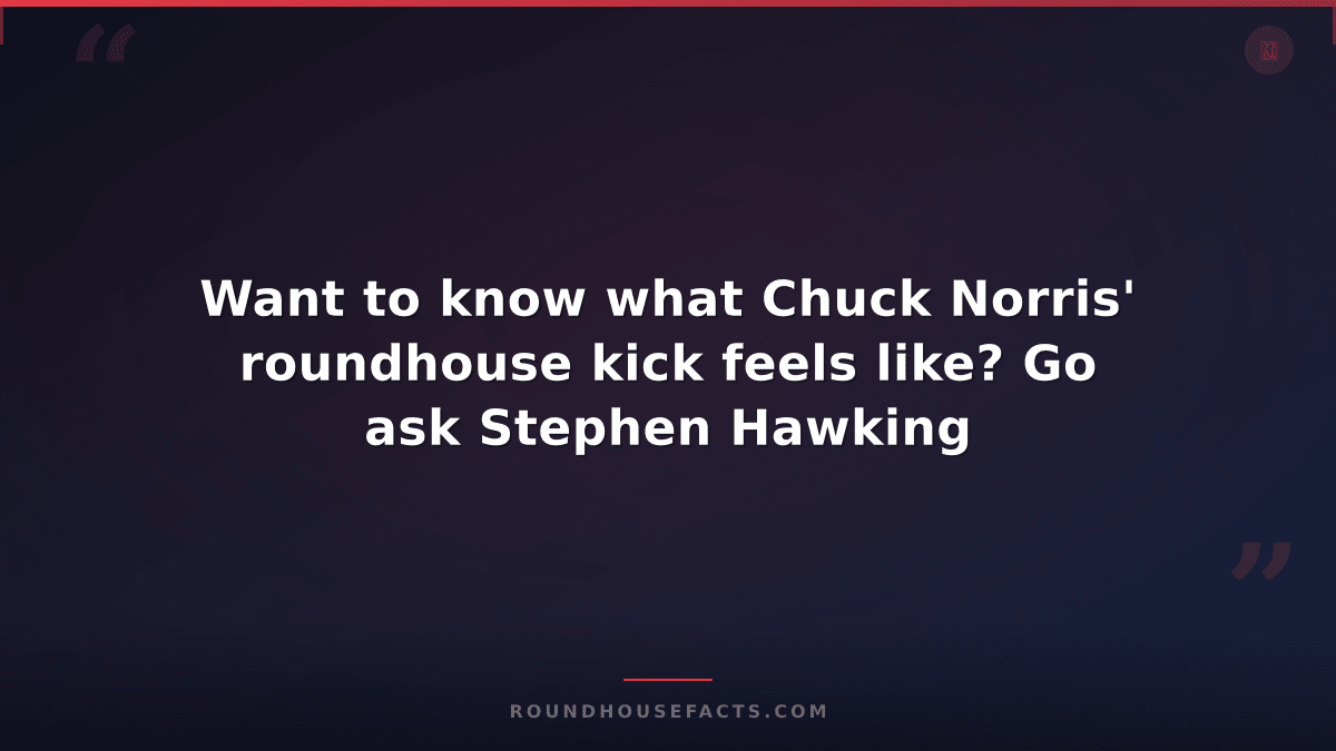Chuck Norris Fact — Want to know what Chuck Norris' roundhouse kick feels like?