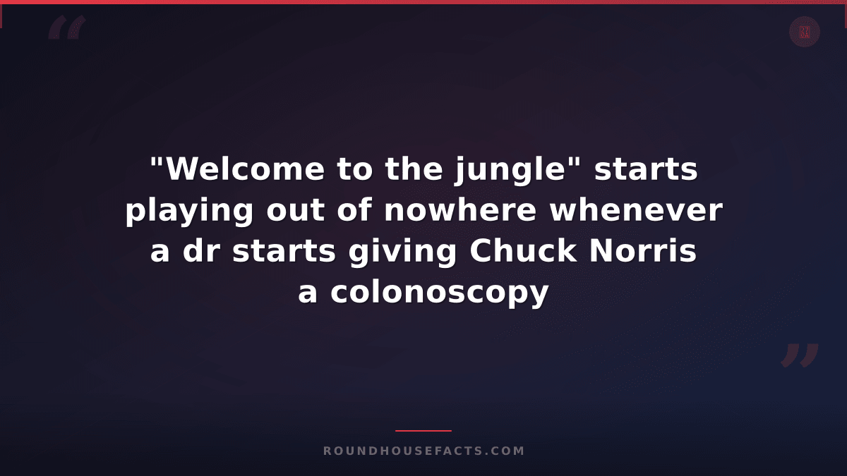 Chuck Norris Fact — "Welcome to the jungle" starts playing out of nowhere whenev