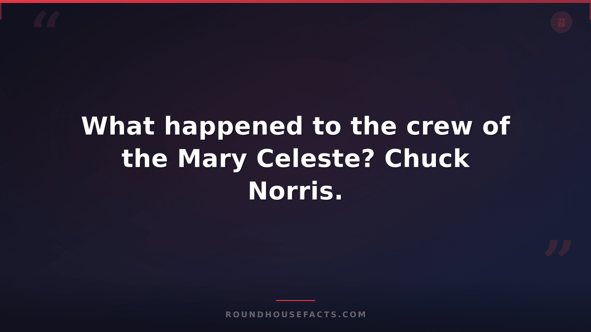 Chuck Norris Fact — What happened to the crew of the Mary Celeste? Chuck Norris.