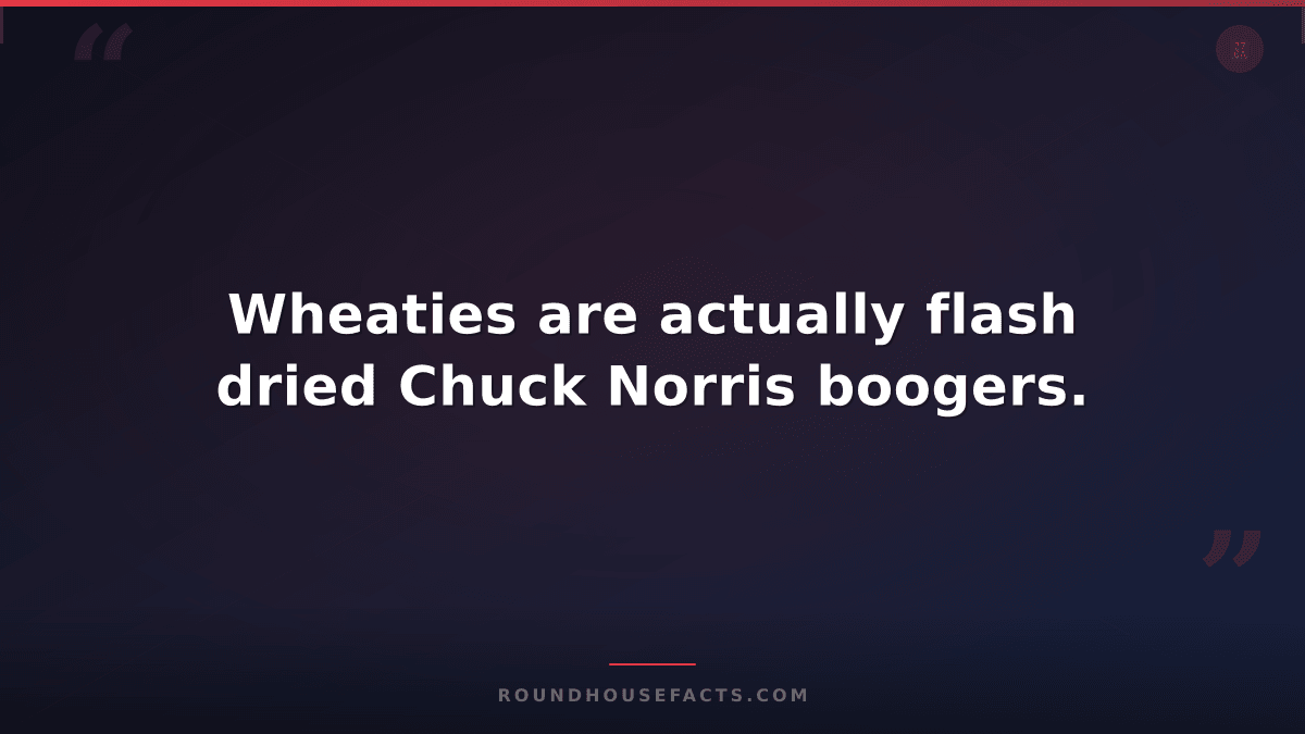 Chuck Norris Fact — Wheaties are actually flash dried Chuck Norris boogers.