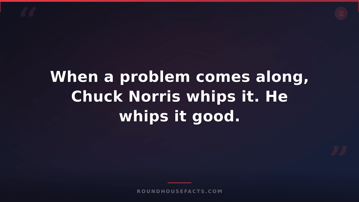 Chuck Norris Fact — When a problem comes along, Chuck Norris whips it. He whips