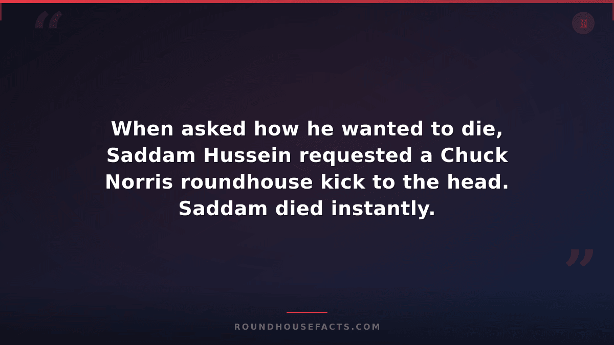 Chuck Norris Fact — When asked how he wanted to die, Saddam Hussein requested a