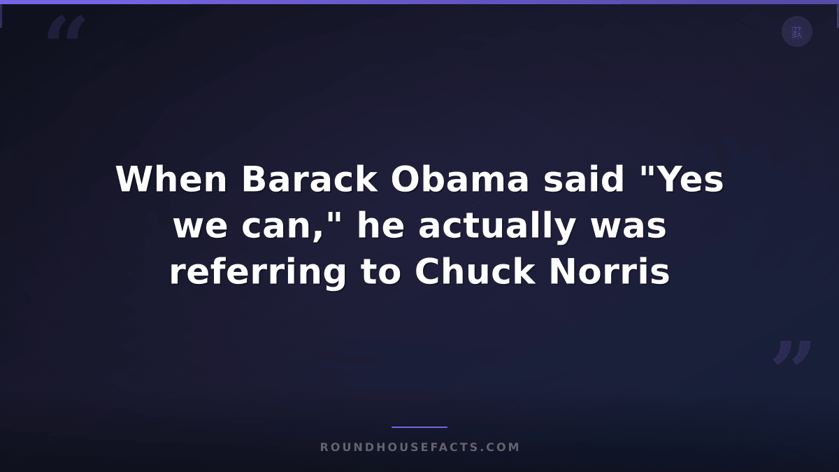 Chuck Norris Fact — When Barack Obama said "Yes we can," he actually was referri