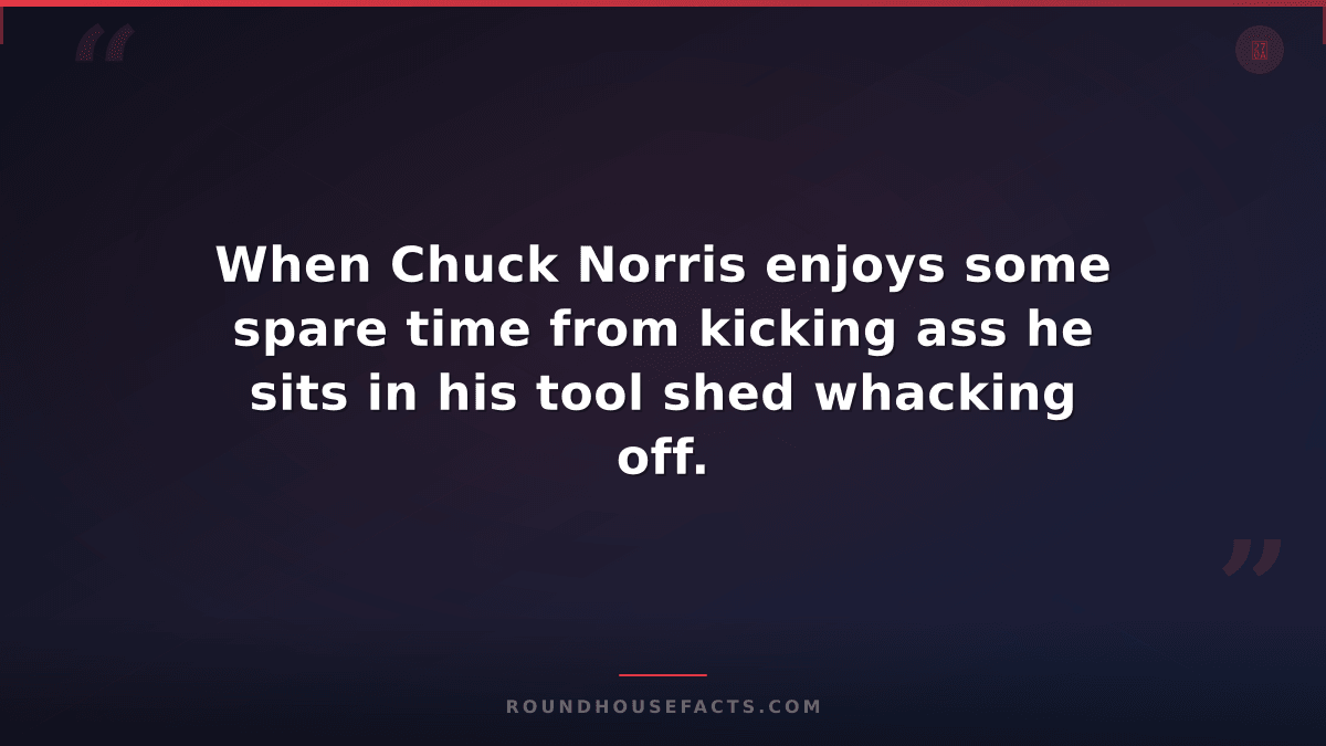 Chuck Norris Fact — When Chuck Norris enjoys some spare time from kicking ass he