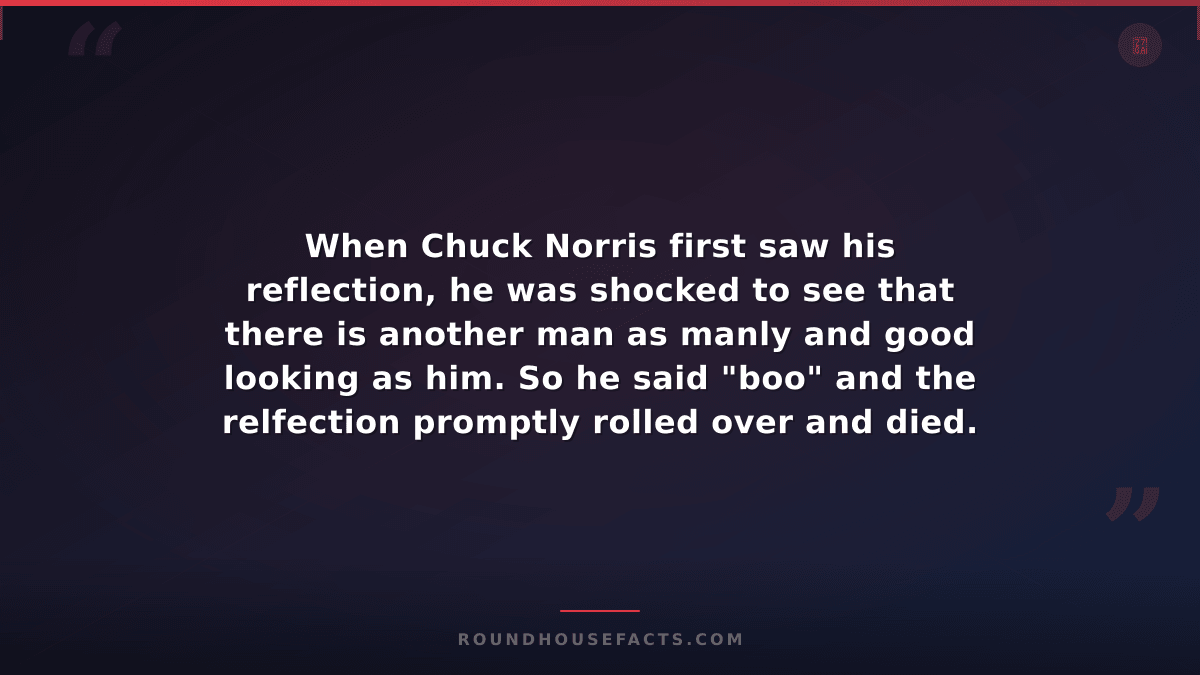 Chuck Norris Fact — When Chuck Norris first saw his reflection, he was shocked t