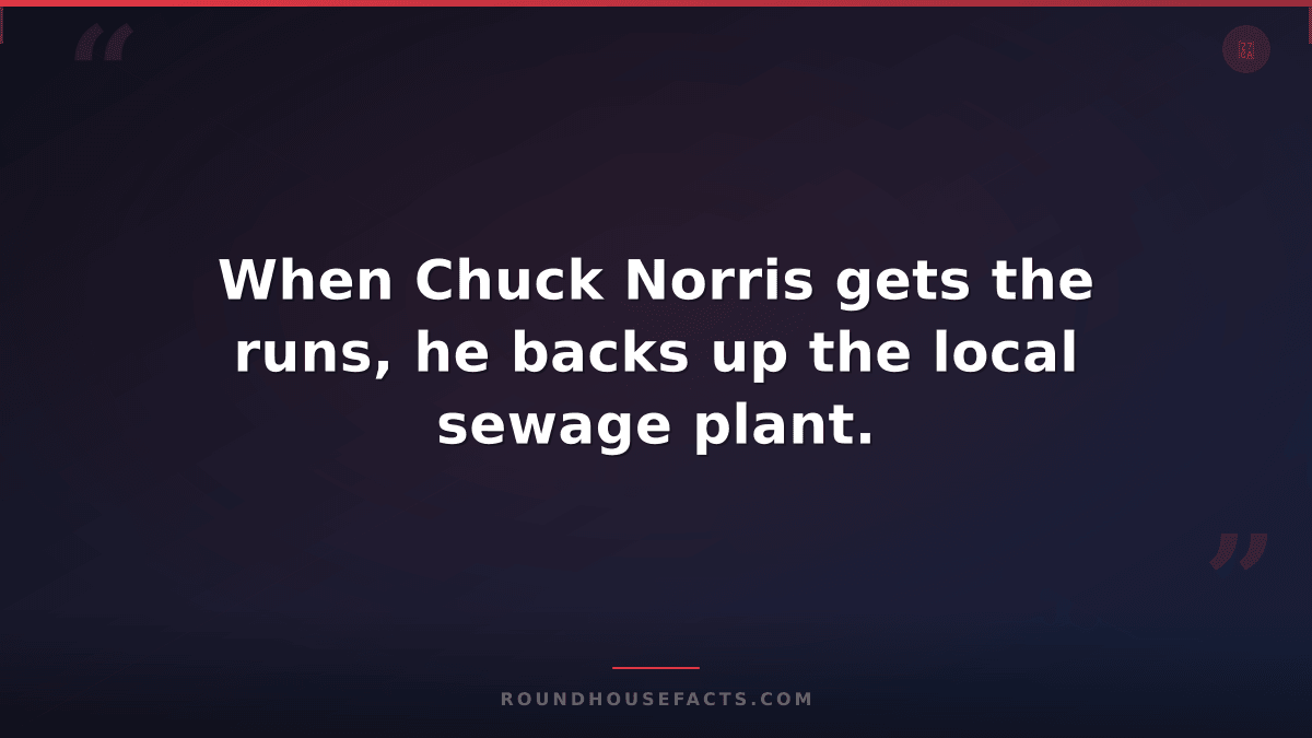 Chuck Norris Fact — When Chuck Norris gets the runs, he backs up the local sewag