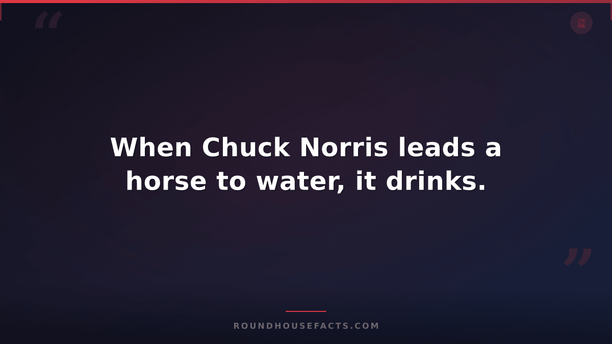 Chuck Norris Fact — When Chuck Norris leads a horse to water, it drinks.