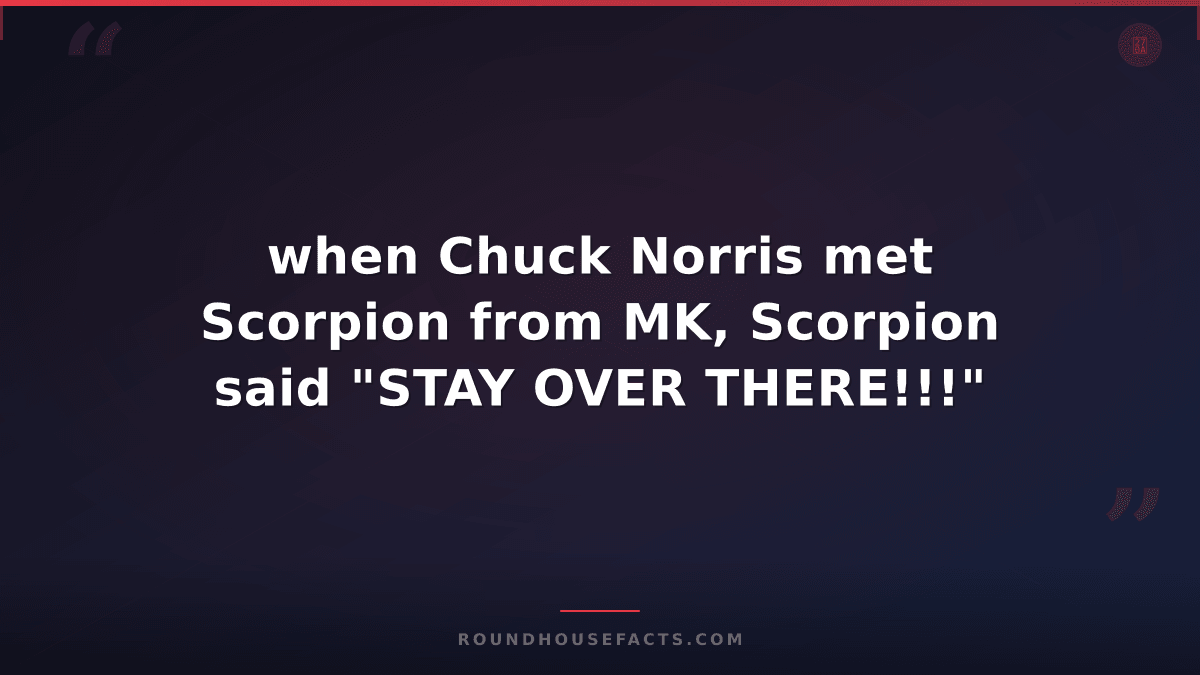 Chuck Norris Fact — when Chuck Norris met Scorpion from MK, Scorpion said "STAY