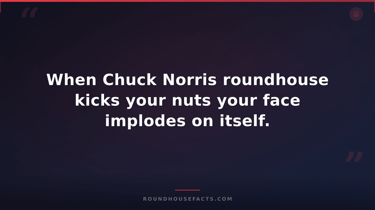 Chuck Norris Fact — When Chuck Norris roundhouse kicks your nuts your face implo