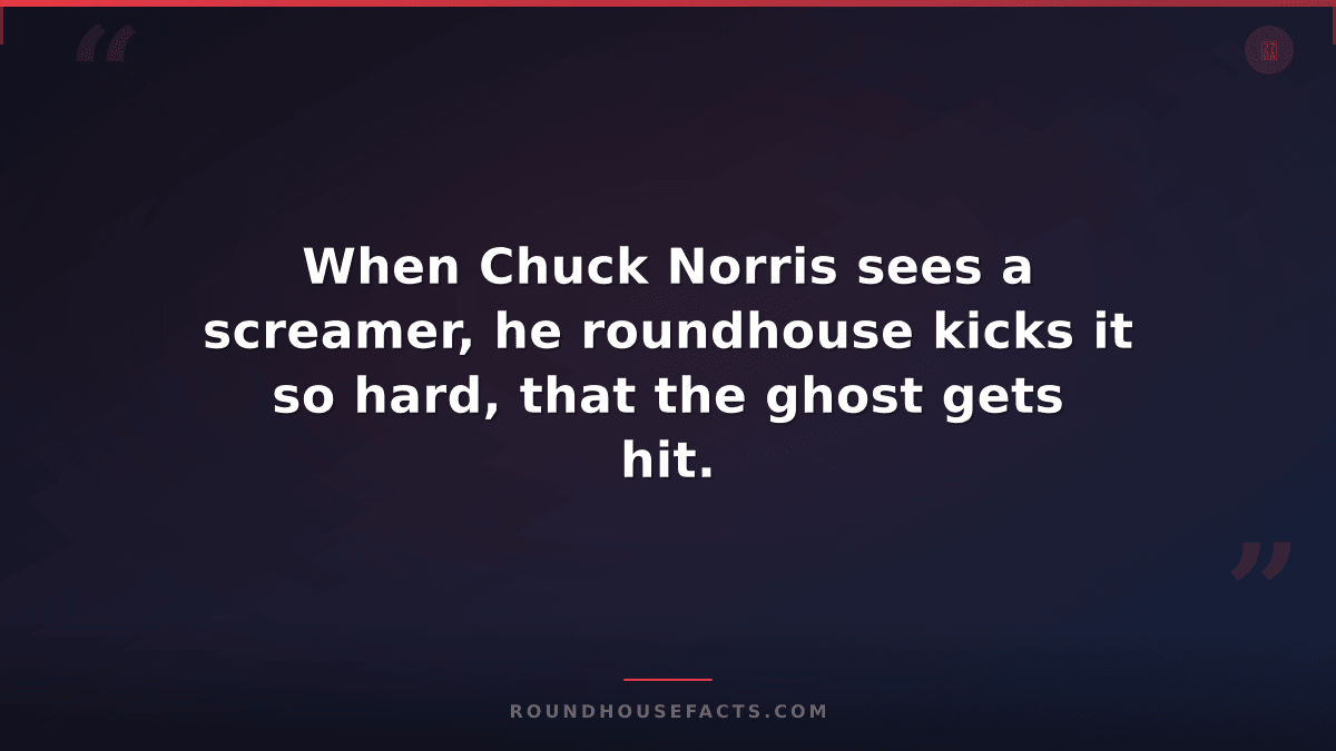 Chuck Norris Fact — When Chuck Norris sees a screamer, he roundhouse kicks it so