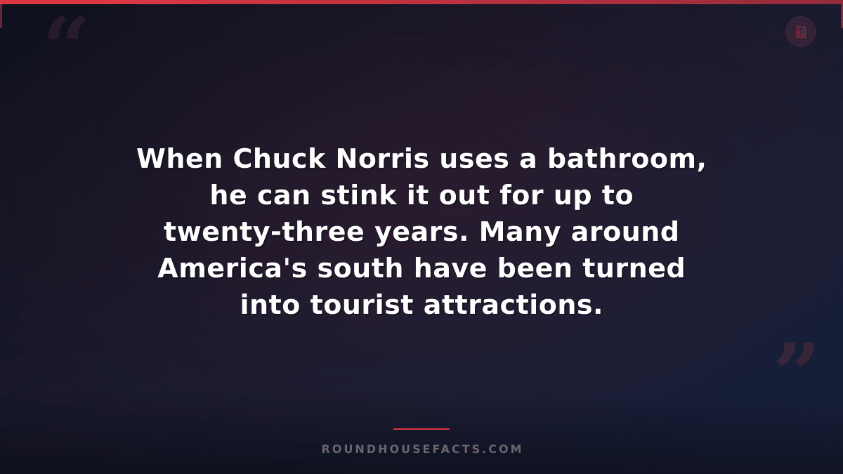 Chuck Norris Fact — When Chuck Norris uses a bathroom, he can stink it out for u