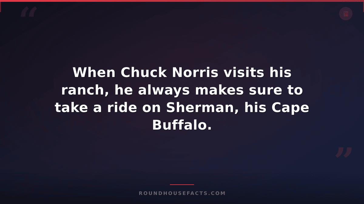 Chuck Norris Fact — When Chuck Norris visits his ranch, he always makes sure to