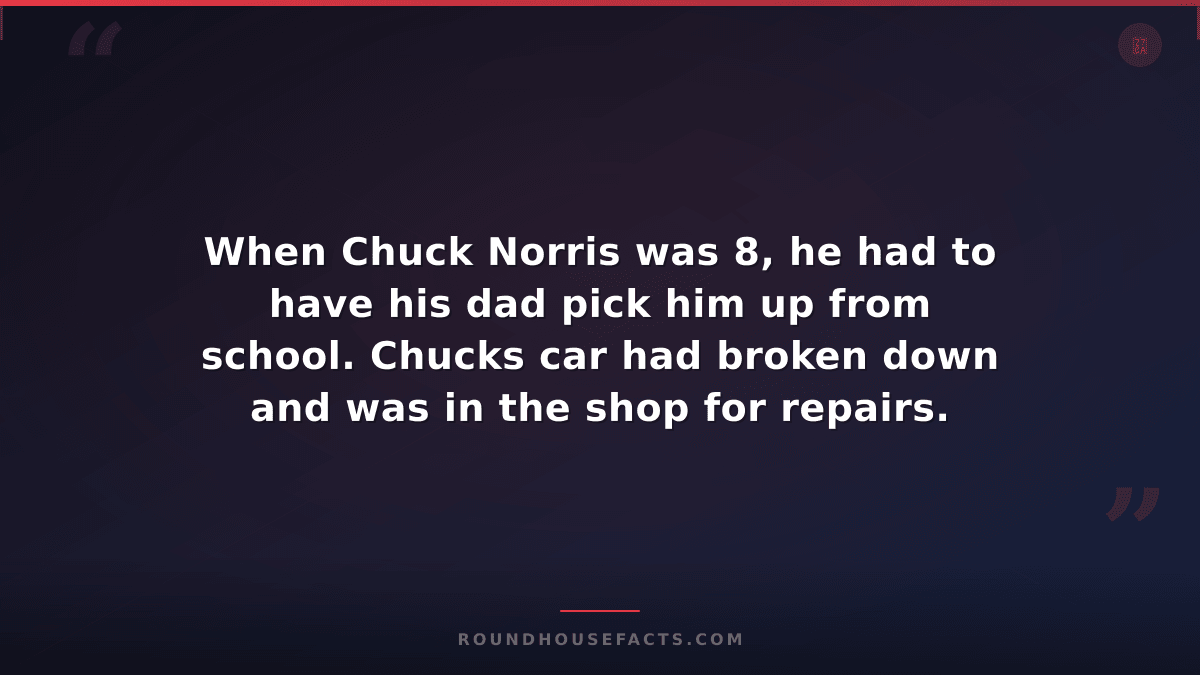 Chuck Norris Fact — When Chuck Norris was 8, he had to have his dad pick him up
