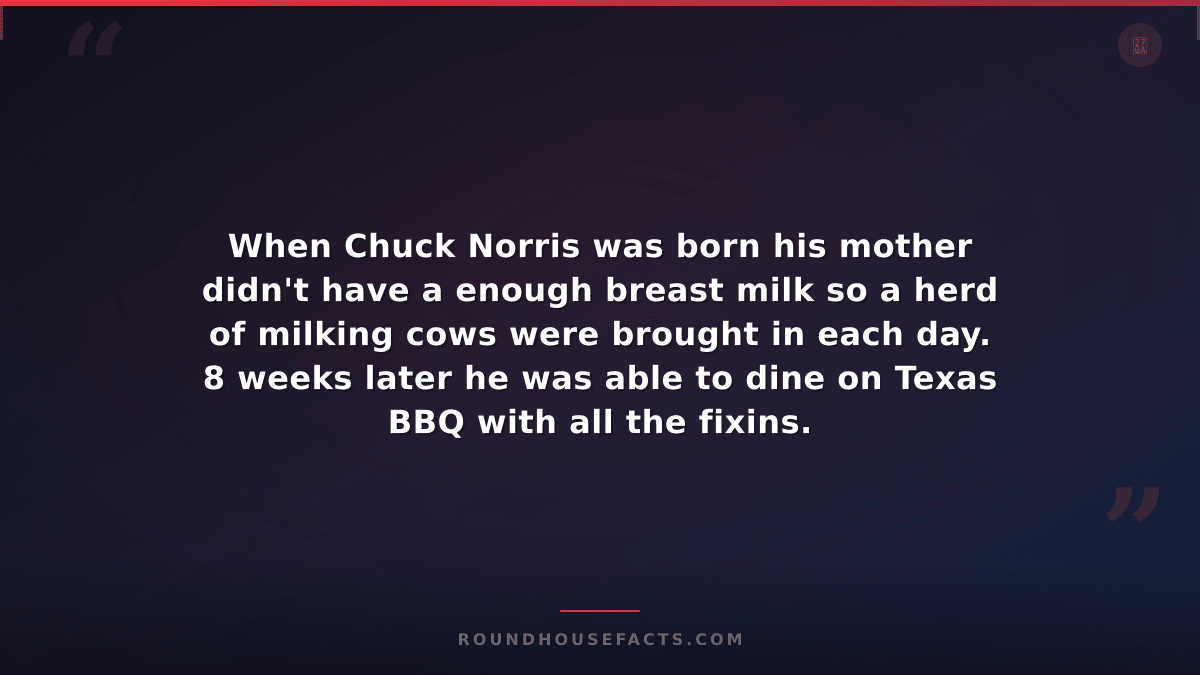 Chuck Norris Fact — When Chuck Norris was born his mother didn't have a enough b