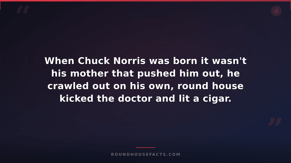 Chuck Norris Fact — When Chuck Norris was born it wasn't his mother that pushed
