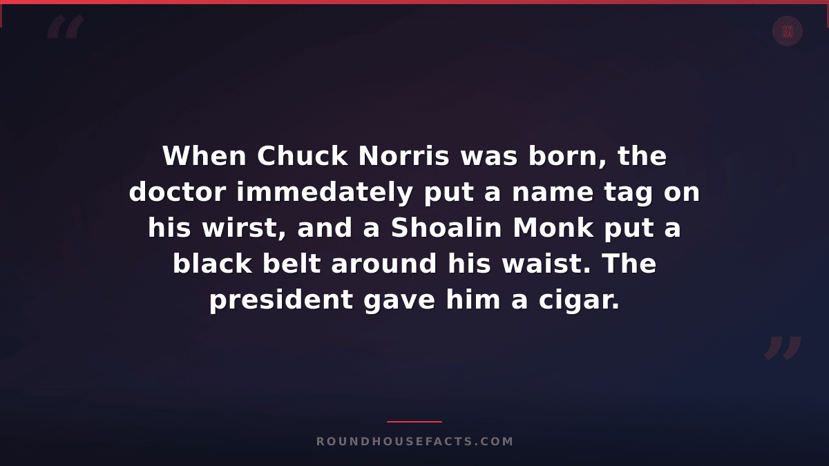 Chuck Norris Fact — When Chuck Norris was born, the doctor immedately put a name