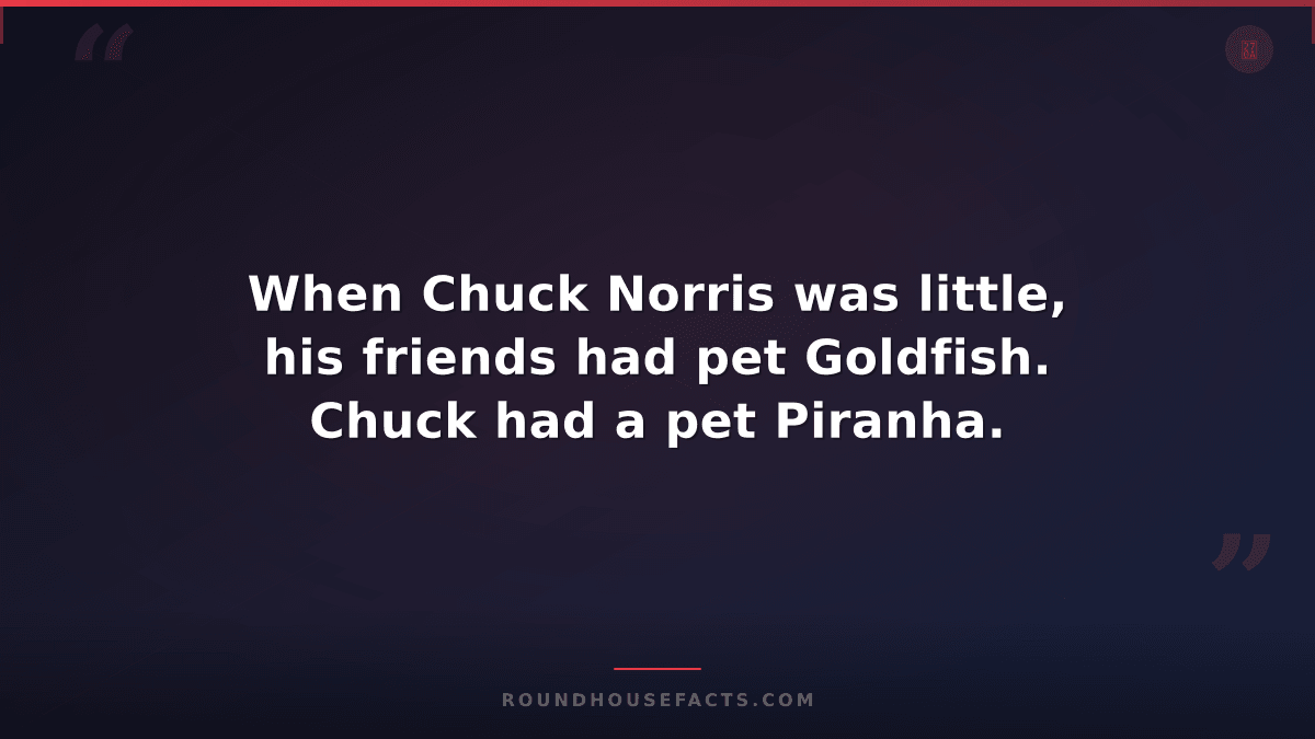 Chuck Norris Fact — When Chuck Norris was little, his friends had pet Goldfish.