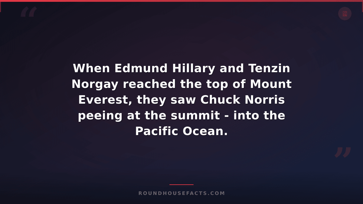 Chuck Norris Fact — When Edmund Hillary and Tenzin Norgay reached the top of Mou