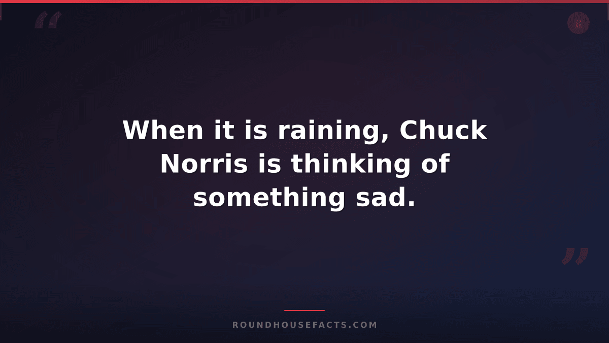 Chuck Norris Fact — When it is raining, Chuck Norris is thinking of something sa