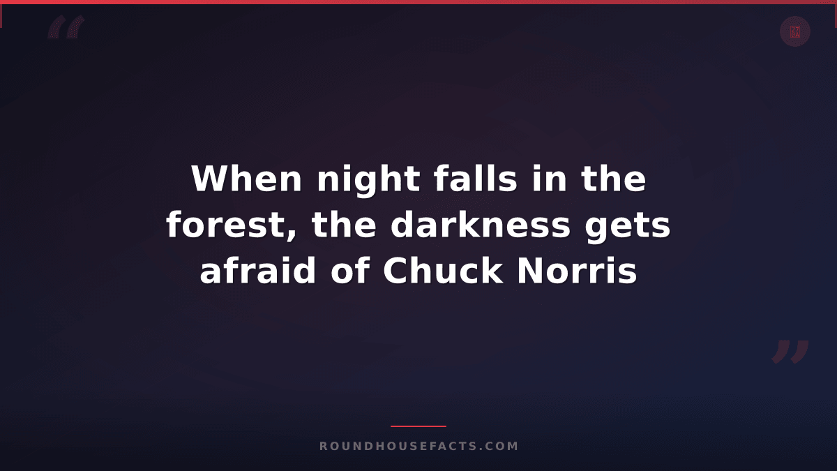 Chuck Norris Fact — When night falls in the forest, the darkness gets afraid of