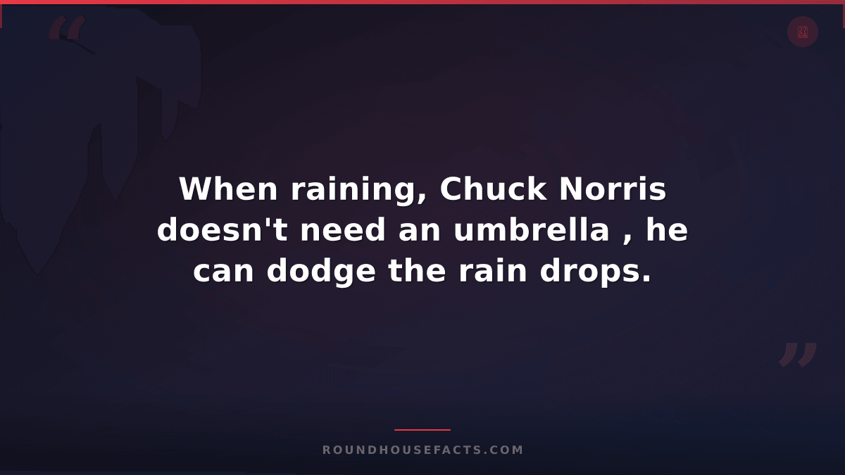 Chuck Norris Fact — When raining, Chuck Norris doesn't need an umbrella , he can