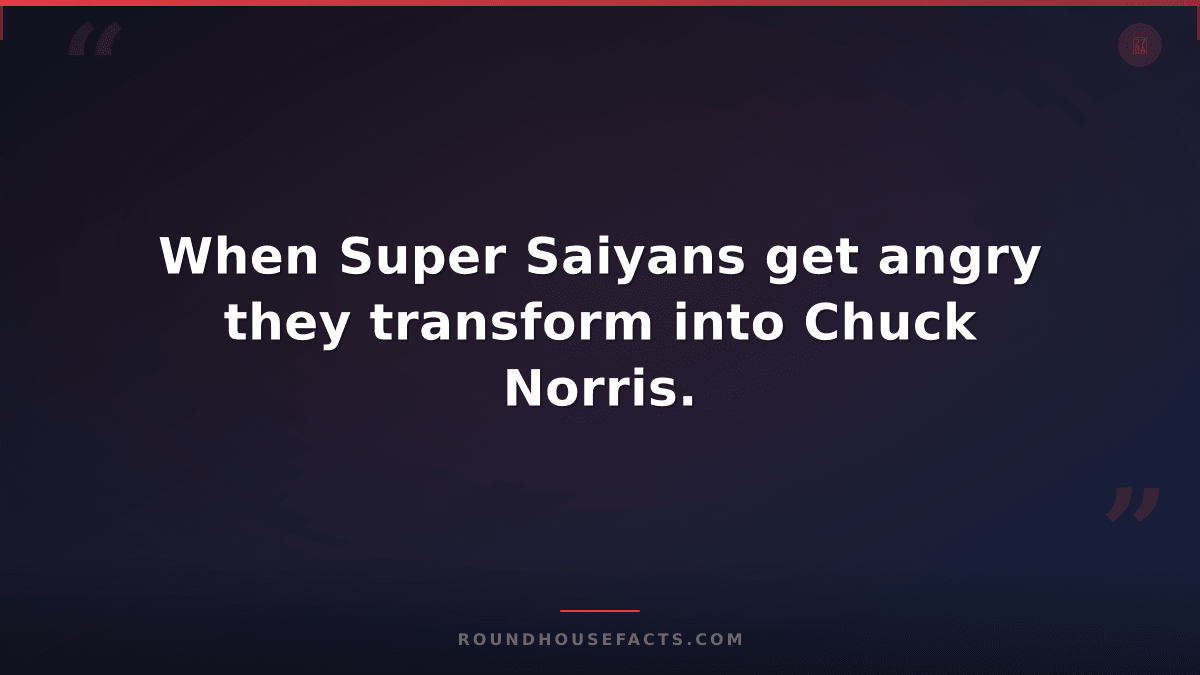Chuck Norris Fact — When Super Saiyans get angry they transform into Chuck Norri
