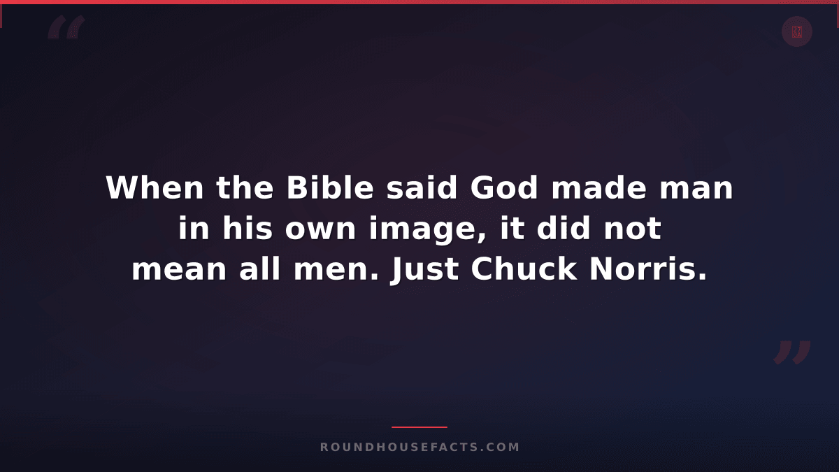 Chuck Norris Fact — When the Bible said God made man in his own image, it did no