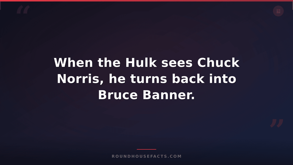 Chuck Norris Fact — When the Hulk sees Chuck Norris, he turns back into Bruce Ba